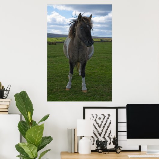 Blue Mit Augen Dartmoor Pony Poster (Heimbüro)