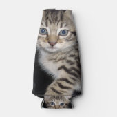 Blue Mit Augen Gray Fluffy Kitten, Flaschenkühler (Vorderseite)