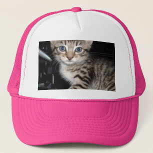 Blue Mit Augen Gray Fluffy Kitten, Truckerkappe