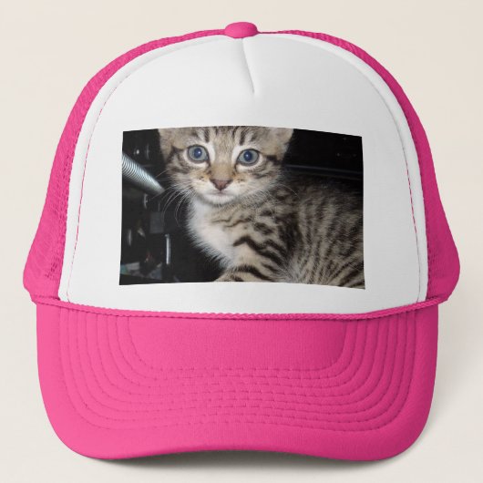 Blue Mit Augen Gray Fluffy Kitten, Truckerkappe (Vorderseite)