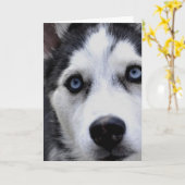 Blue Mit Augen Husky Grußkarten Karte (Gelbe Blume)