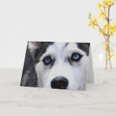 Blue Mit Augen Husky Grußkarten Karte (Gelbe Blume)