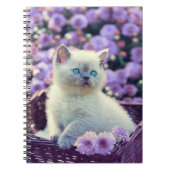 Blue Mit Augen Kitten Baby Cat In Basket Lilac Blu Notizblock (Vorderseite)
