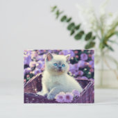 Blue Mit Augen Kitten Baby Cat In Basket Lilac Blu Postkarte (Stehend Vorderseite)