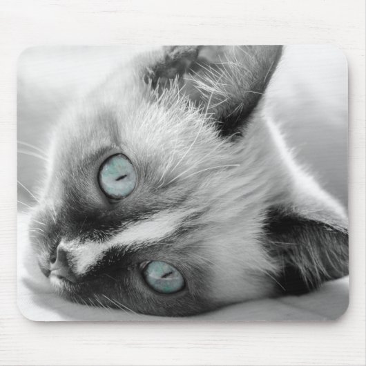 Blue-Mit Augen Kitten Mouse Pad Mousepad (Vorne)