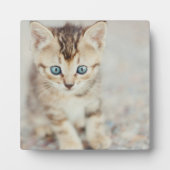 Blue Mit Augen Kitty Fotoplatte (Vorderseite)