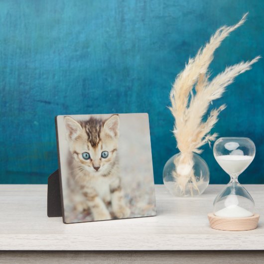 Blue Mit Augen Kitty Fotoplatte (InSitu)