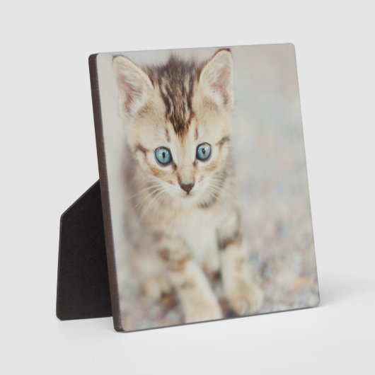 Blue Mit Augen Kitty Fotoplatte (Vorderseite)