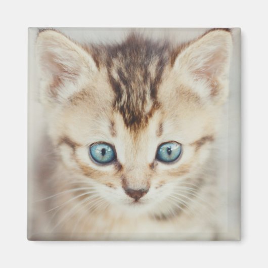 Blue Mit Augen Kitty Magnet (Vorne)