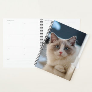 Blue Mit Augen Kitty Planer