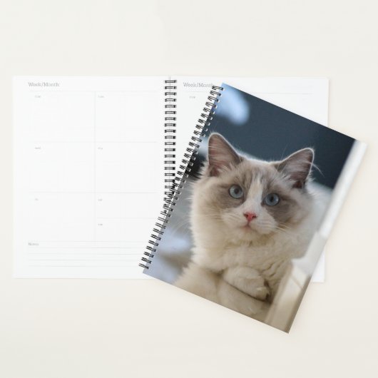 Blue Mit Augen Kitty Planer (Anzeige)