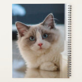 Blue Mit Augen Kitty Planer (Rückseite)