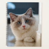 Blue Mit Augen Kitty Planer (Vorderseite)