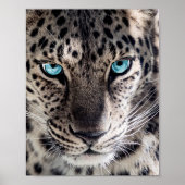 Blue Mit Augen Leopard Fotografy Art Poster (Vorne)