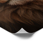 Blue Mit Augen Lion Poster (Ecke)