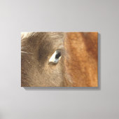 Blue Mit Augen Mini Filly Leinwanddruck (Vorderseite)