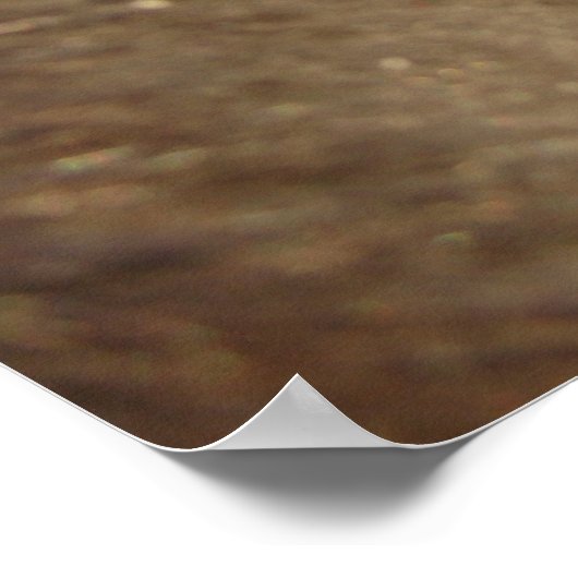 Blue Mit Augen Mini Filly Poster (Ecke)