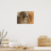 Blue Mit Augen Mini Filly Poster (Küche)