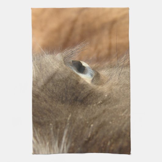 Blue Mit Augen Mini Horse Filly Küchentuch (Vertikal)