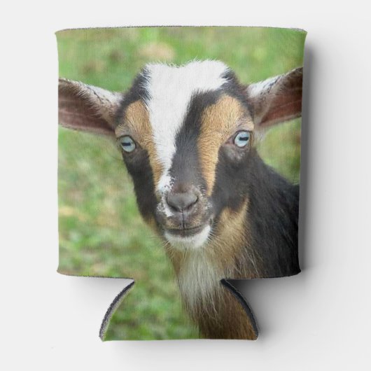 Blue Mit Augen Nigerien Zwarf Milchziege Dosenkühler (Vorderseite)