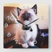 Blue Mit Augen Siamese Kitten Fotograf Quadratische Wanduhr (Vorderseite)