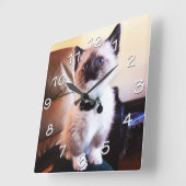 Blue Mit Augen Siamese Kitten Fotograf Quadratische Wanduhr (Winkel)