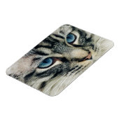 Blue-mit Augen Tabby Cat Face Nah-ip Magnet (Linke Seite)