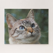 Blue Mit Augen Tabby Cat Jigsaw Puzzle (Horizontal)