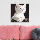 Blue Mit Augen White Kitten Leinwanddruck (Insitu (Wohnzimmer))