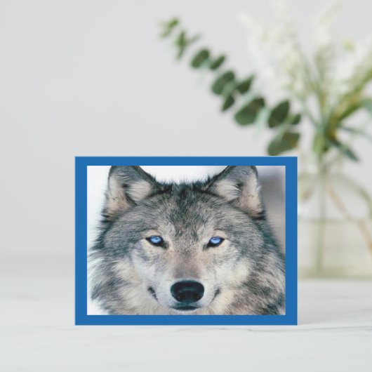 Blue Mit Augen Wolf Postkarte (Stehend Vorderseite)