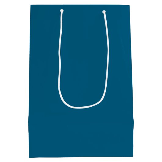 Blue Modern Elegant Plain Simple Professional Name Mittlere Geschenktüte (Rückseite)