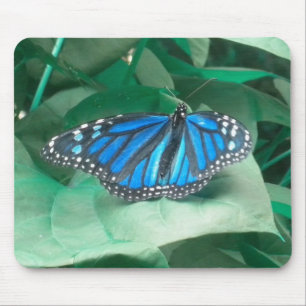 Blue Monarch Butterfly-Maus Mousepad