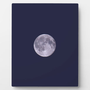 Blue Moon Fotoplatte