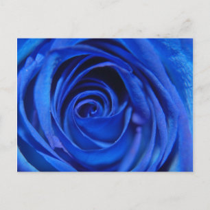 Blue Moon Postkarte