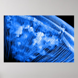 Blue Moon Rising Poster