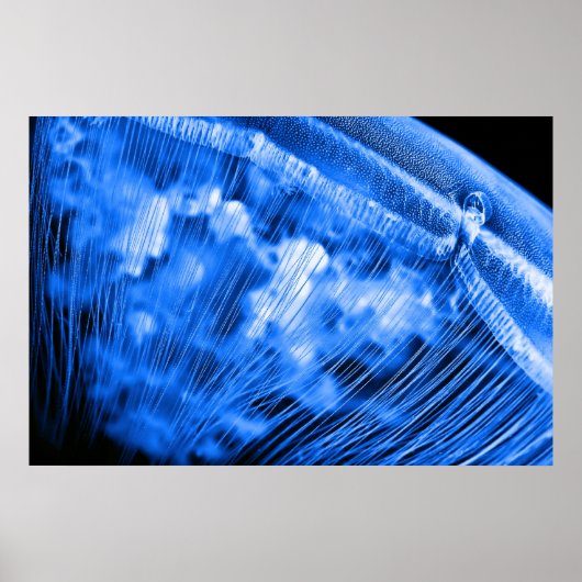 Blue Moon Rising Poster (Vorne)