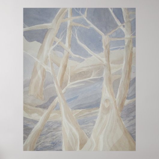 Blue Moon Wilds Poster (Vorne)