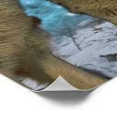 BLUE MOON WOLVES HOWLING CANVAS DRUCKEN POSTER (Ecke)