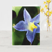 Blue Morning Glory Blume Karte (Gelbe Blume)