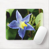 Blue Morning Glory Blume Mousepad (Mit Mouse)