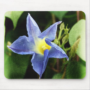 Blue Morning Glory Blume Mousepad