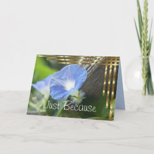 Blue Morning Glory - innen leer Karte