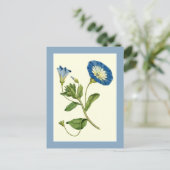 Blue Morning Glory Vine Illustration Postcard Postkarte (Stehend Vorderseite)