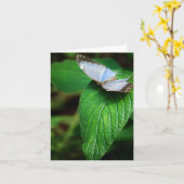 Blue Morpho 112 Card Karte (Gelbe Blume)
