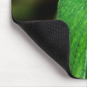 Blue Morpho 112 Mousepad (Ecke)