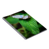 Blue Morpho 112 Notebook Notizblock (Rechte Seite)