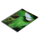 Blue Morpho 112 Notebook Notizblock (Linke Seite)
