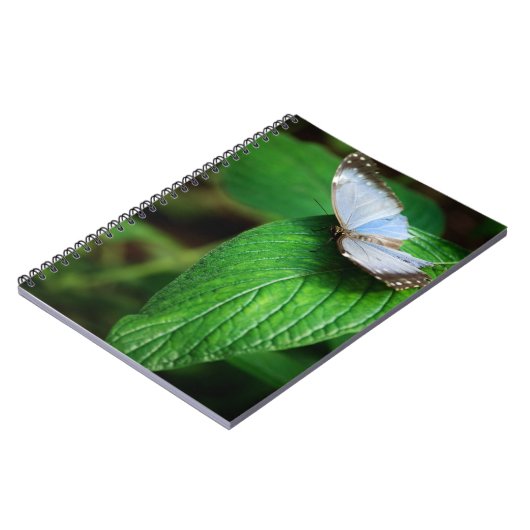Blue Morpho 112 Notebook Notizblock (Linke Seite)