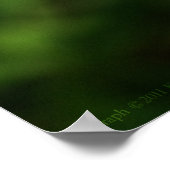 Blue Morpho 112 Print Poster (Ecke)