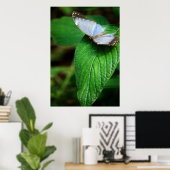 Blue Morpho 112 Print Poster (Heimbüro)